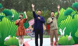 大佛最新爆料新闻视频,揭秘事件背后惊人真相