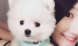 博美爆料新闻事件视频,揭秘新闻事件背后惊人真相