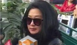 陶虹爆料张铁林视频,娱乐圈内幕曝光