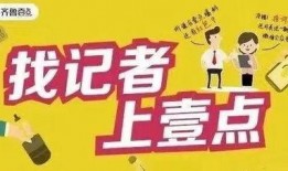 爆料视频 制作网站下载,网站下载生成过程深度解析